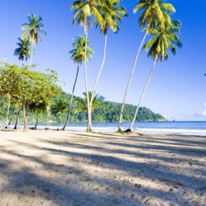 Belle baie de Maracas, Trinidad