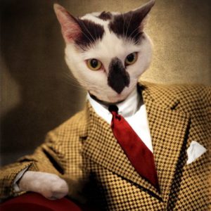 Gentlemencat